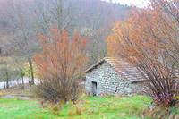 Les moulins de Chapeauroux - 2016